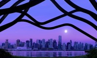 世界滑板城市联盟成立：赛事联动与资源共享，滑板国际赛事