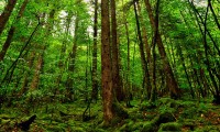 世界短跑线上训练平台新增赛季数据报告功能，世界短跑比赛有哪些